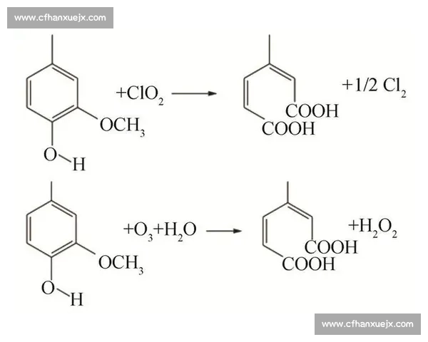探究漂白过程中的化学机制与环境影响及其在日常生活中的应用价值