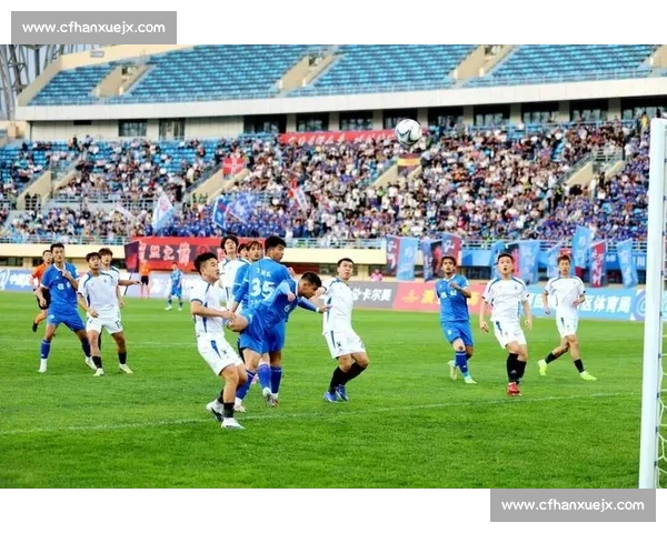 绿茵激战！女足世界杯决赛，为胜利而战，为梦想而生